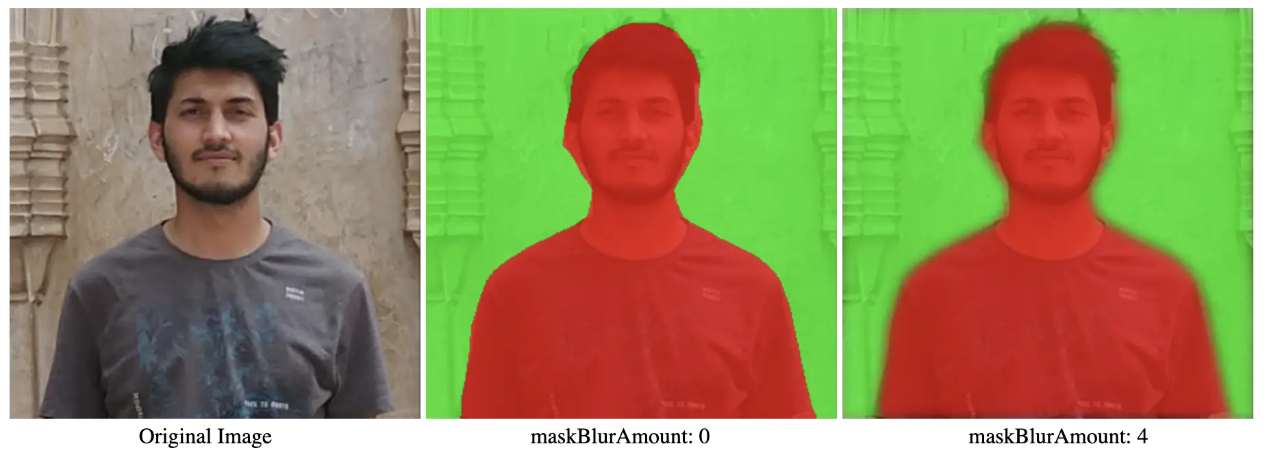 image showing segmentation with different internalResolution values